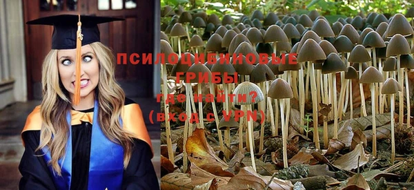 метадон Наволоки