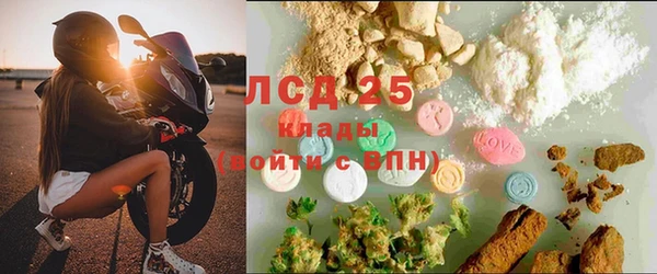 гашик Арсеньев
