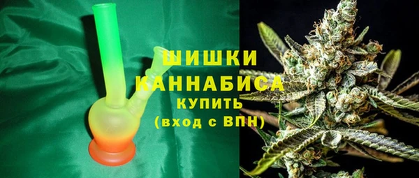 гашик Арсеньев