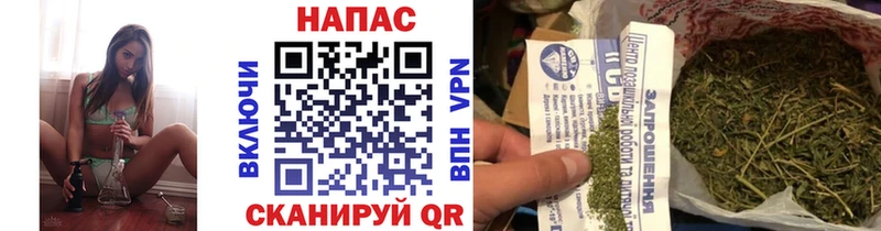 Каннабис Bruce Banner Балашиха